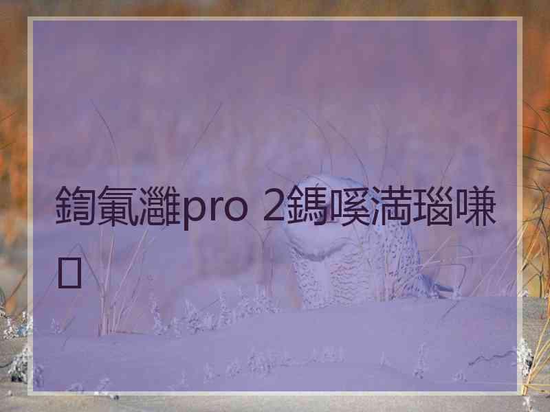 鍧氭灉pro 2鎷嗘満瑙嗛