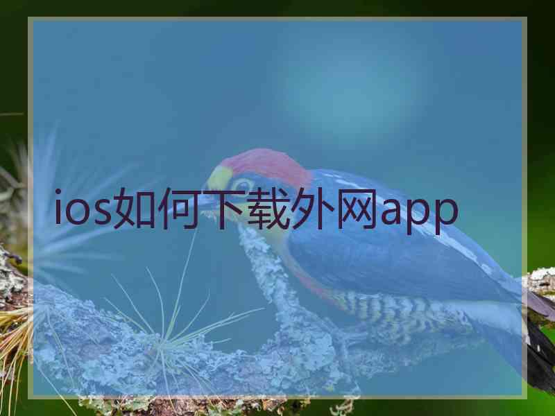 ios如何下载外网app