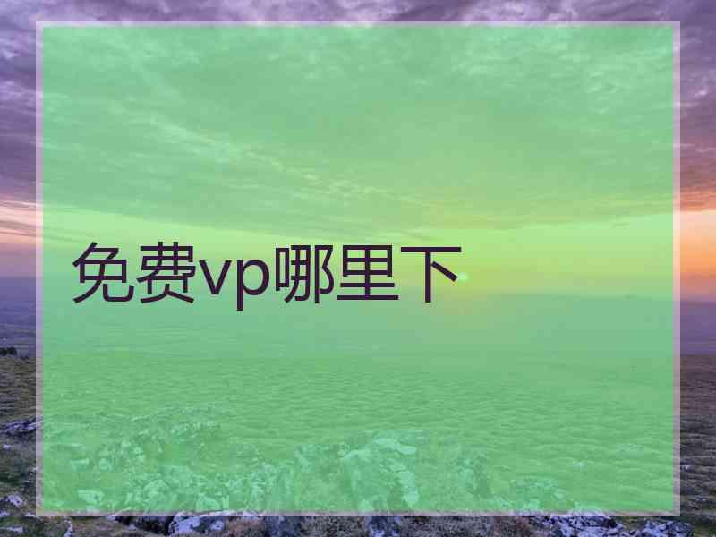 免费vp哪里下