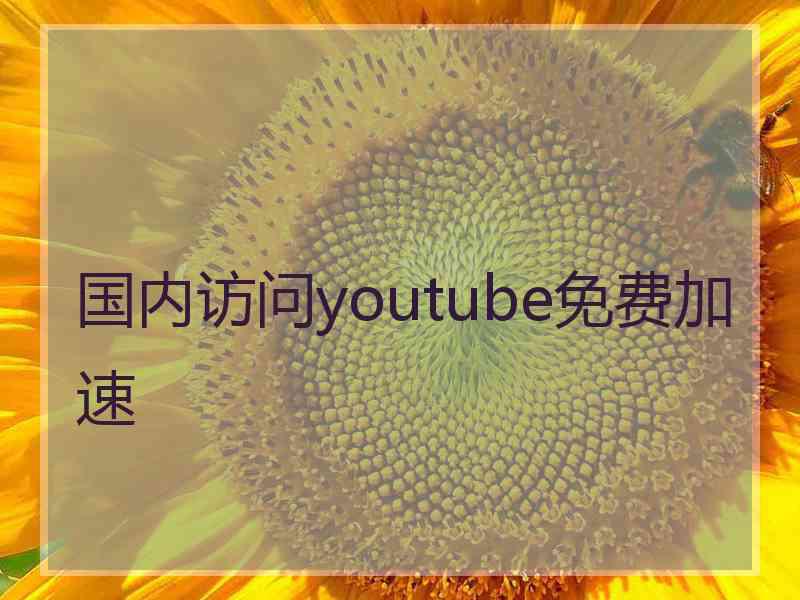 国内访问youtube免费加速