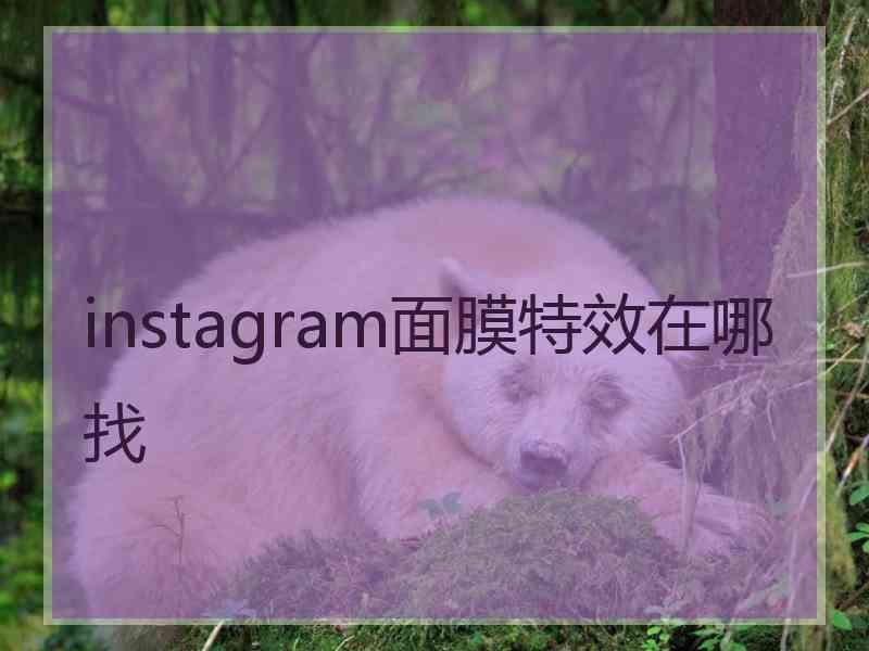 instagram面膜特效在哪找