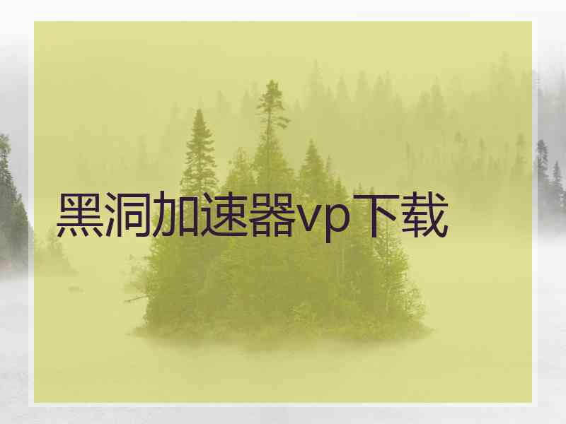 黑洞加速器vp下载