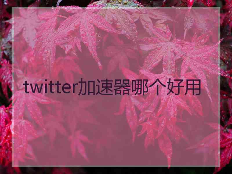 twitter加速器哪个好用