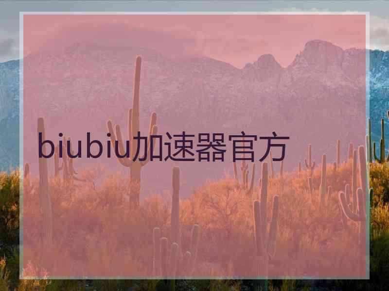 biubiu加速器官方