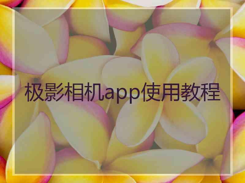 极影相机app使用教程