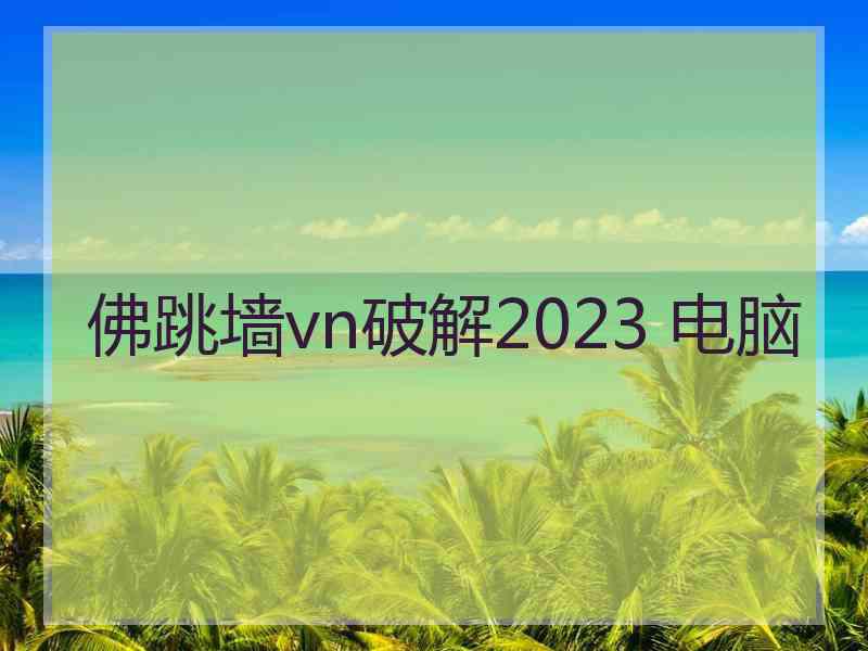 佛跳墙vn破解2023 电脑