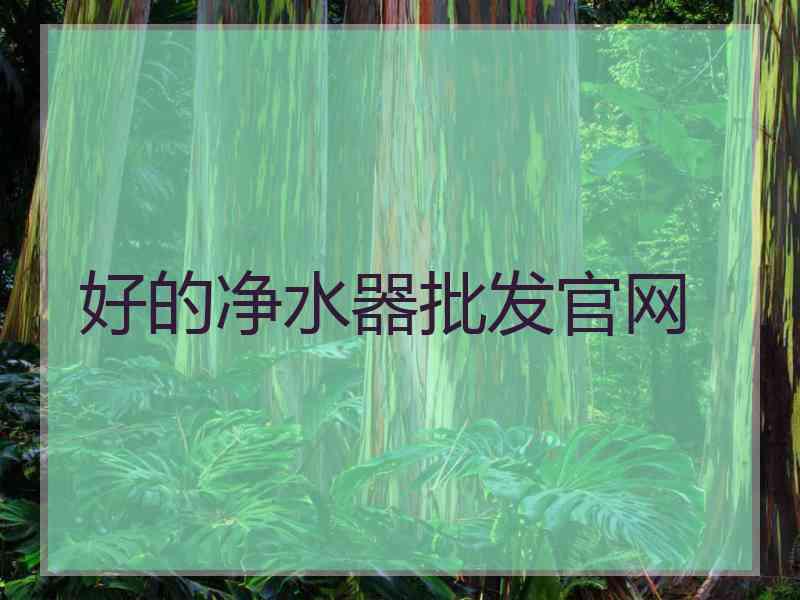 好的净水器批发官网