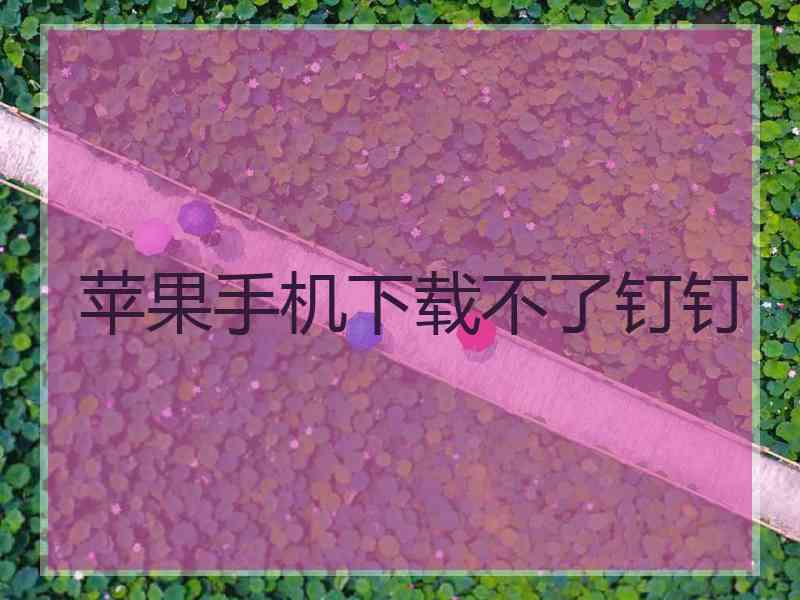 苹果手机下载不了钉钉