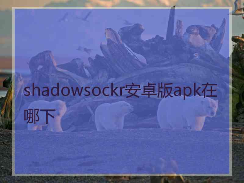 shadowsockr安卓版apk在哪下