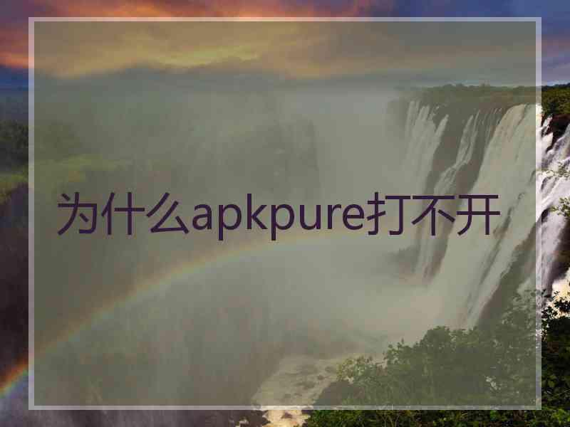 为什么apkpure打不开