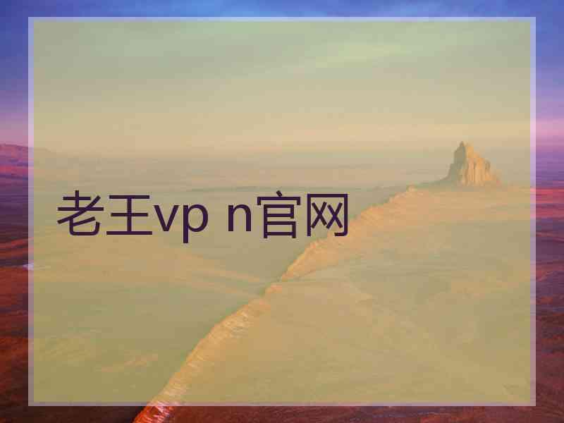 老王vp n官网