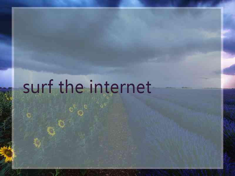 surf the internet