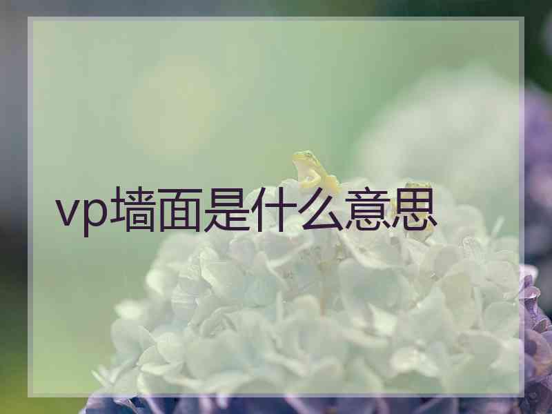 vp墙面是什么意思