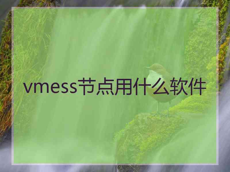 vmess节点用什么软件