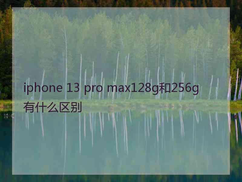 iphone 13 pro max128g和256g有什么区别