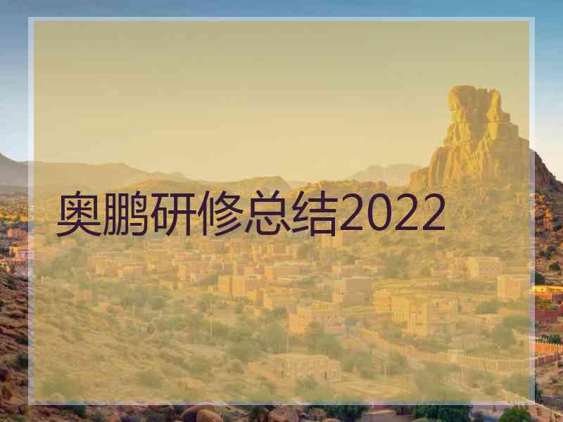 奥鹏研修总结2022