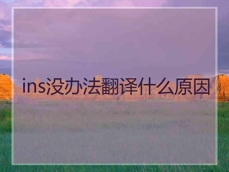 ins没办法翻译什么原因