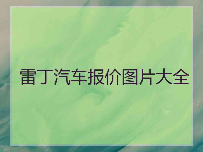 雷丁汽车报价图片大全