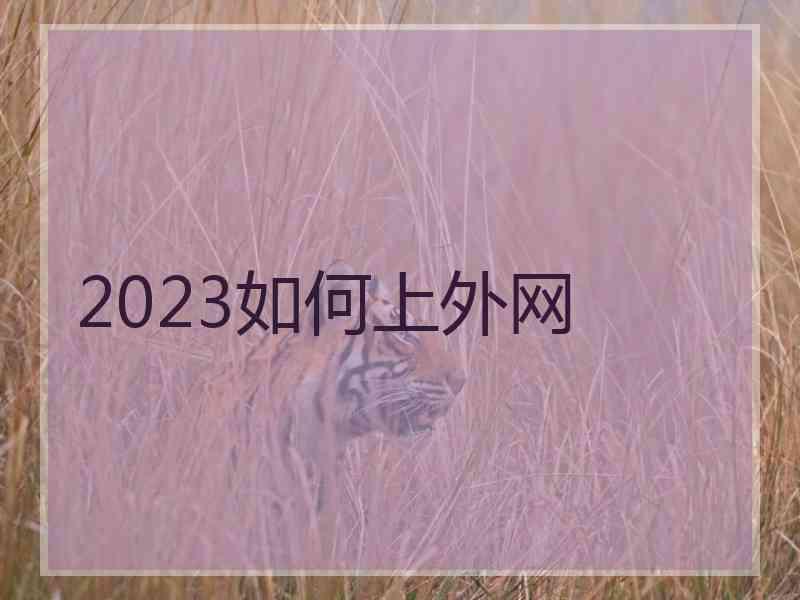 2023如何上外网