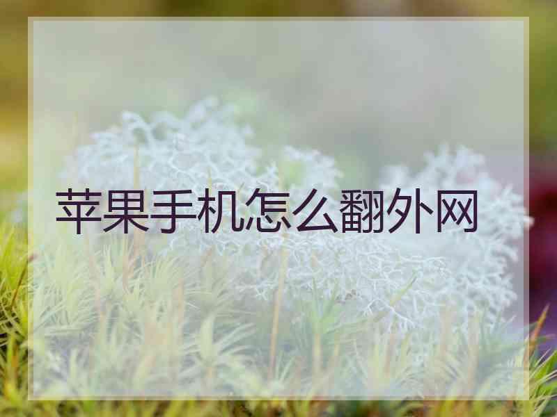 苹果手机怎么翻外网