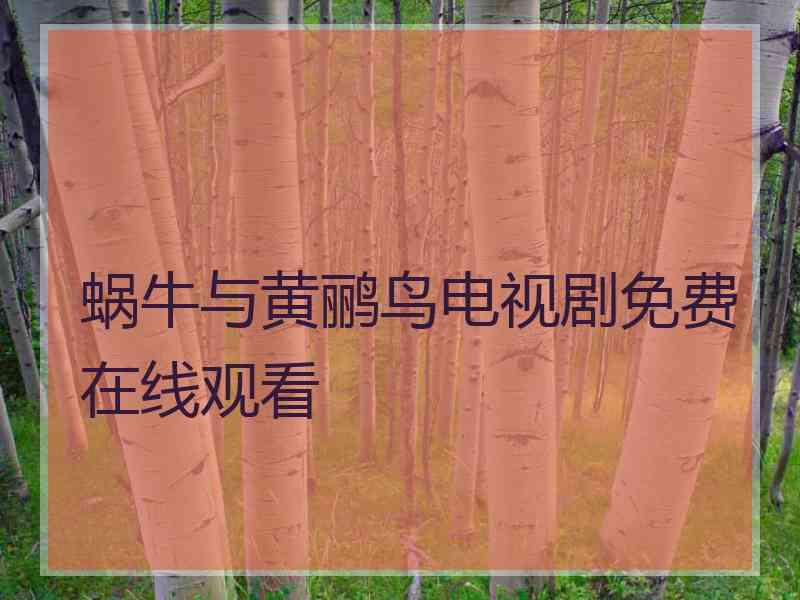 蜗牛与黄鹂鸟电视剧免费在线观看