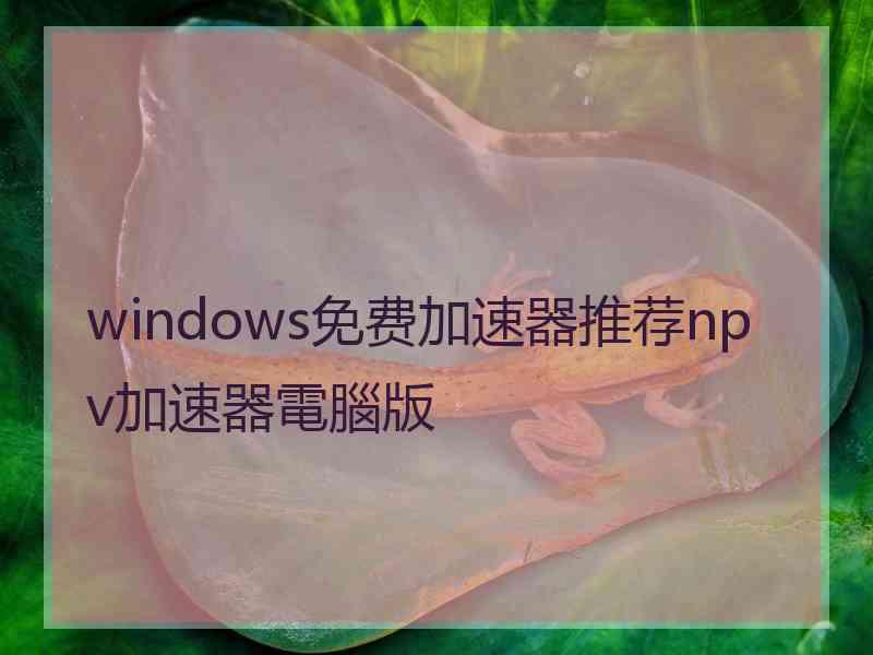 windows免费加速器推荐npv加速器電腦版