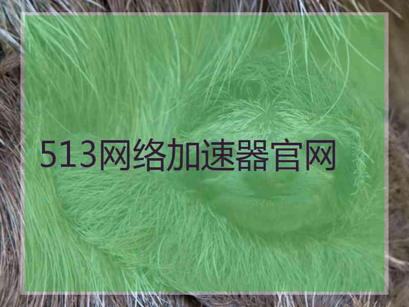 513网络加速器官网