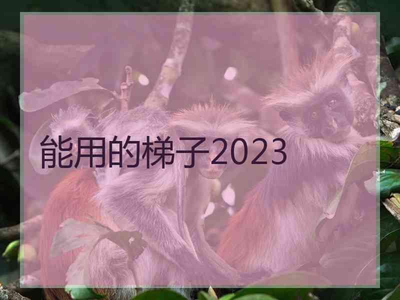 能用的梯子2023