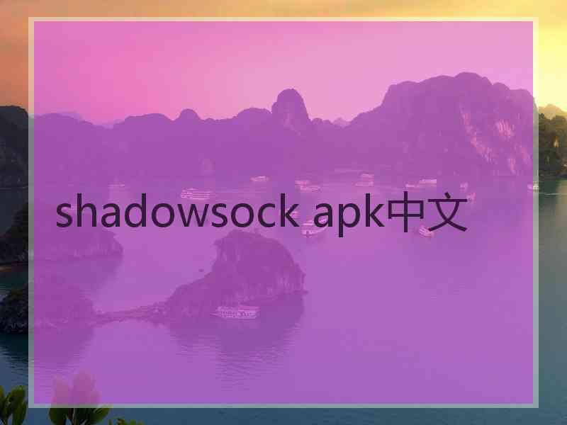 shadowsock apk中文