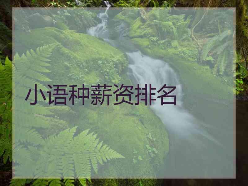 小语种薪资排名