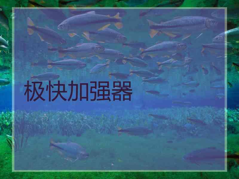 极快加强器