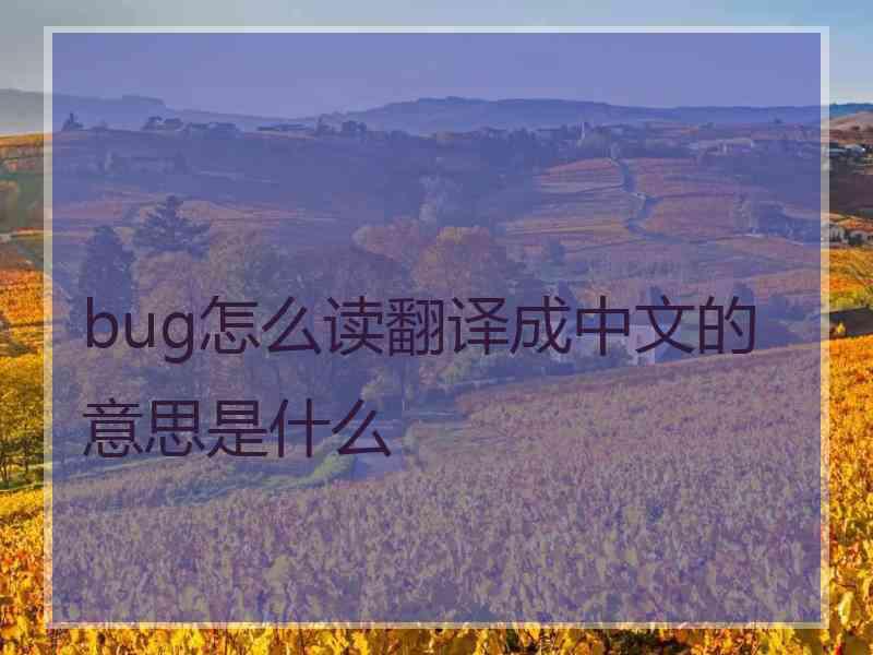 bug怎么读翻译成中文的意思是什么