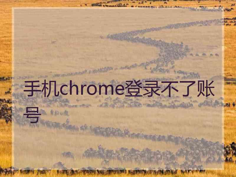 手机chrome登录不了账号