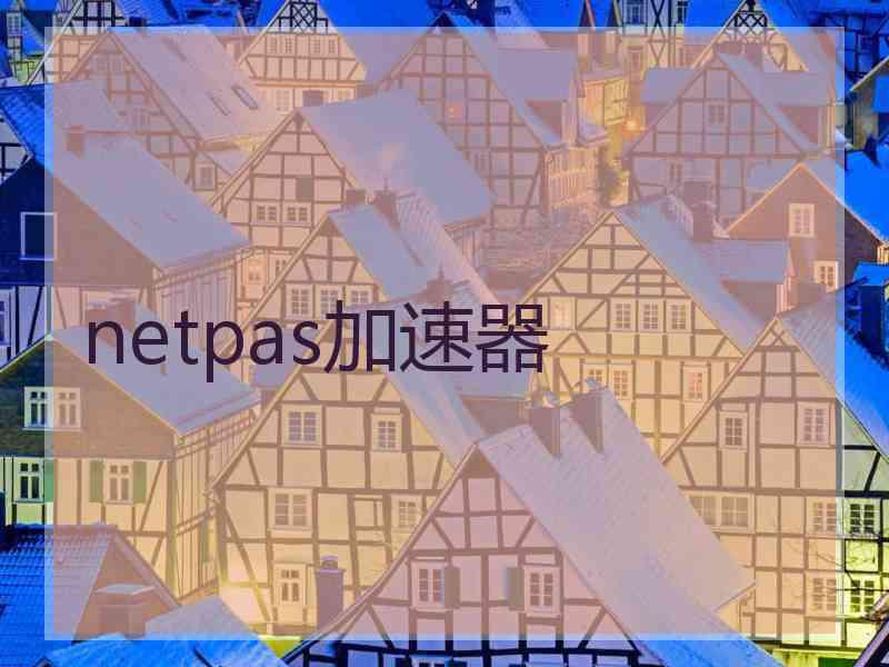 netpas加速器