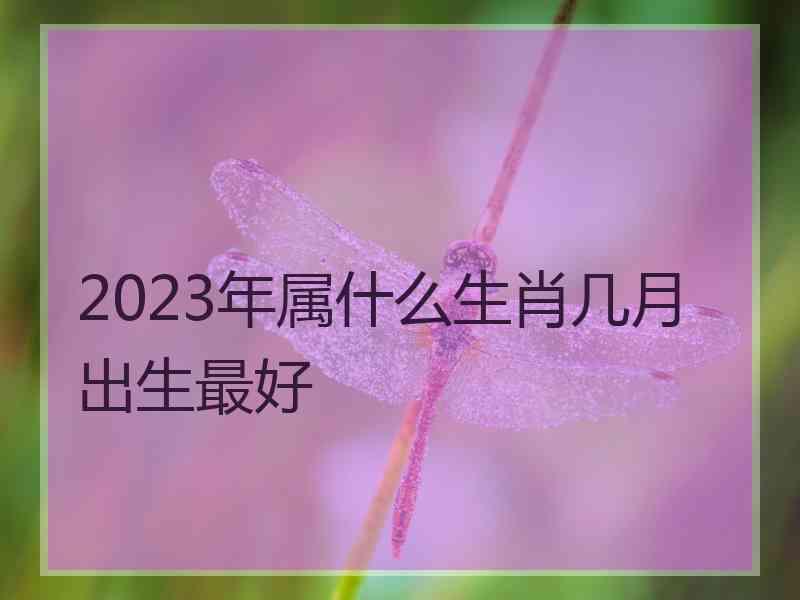 2023年属什么生肖几月出生最好