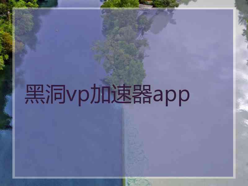 黑洞vp加速器app