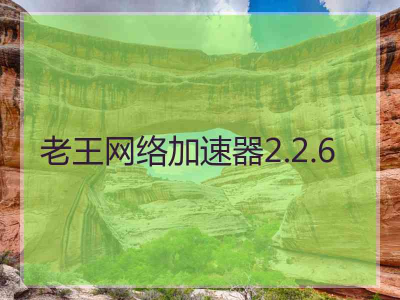 老王网络加速器2.2.6