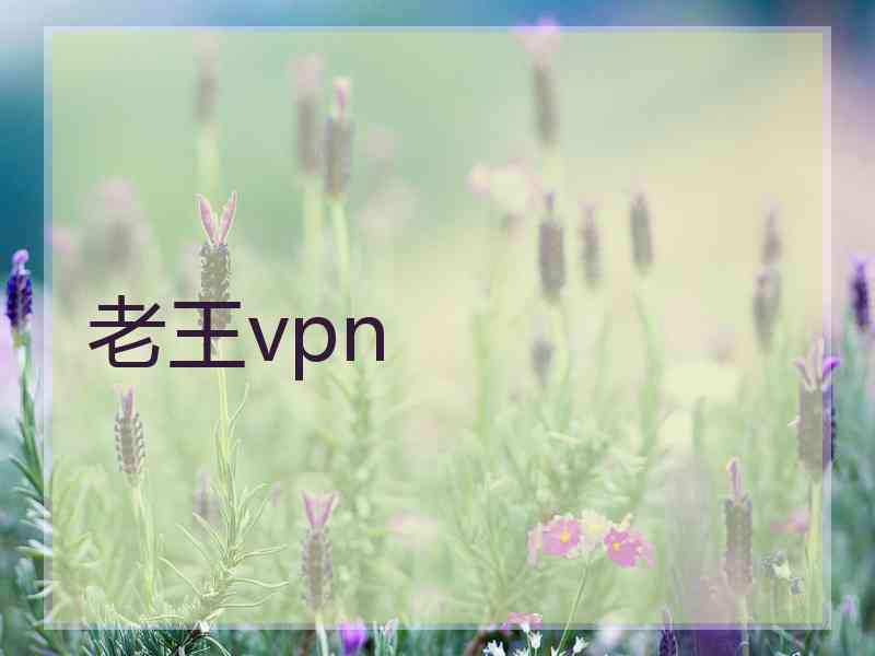 老王vpn