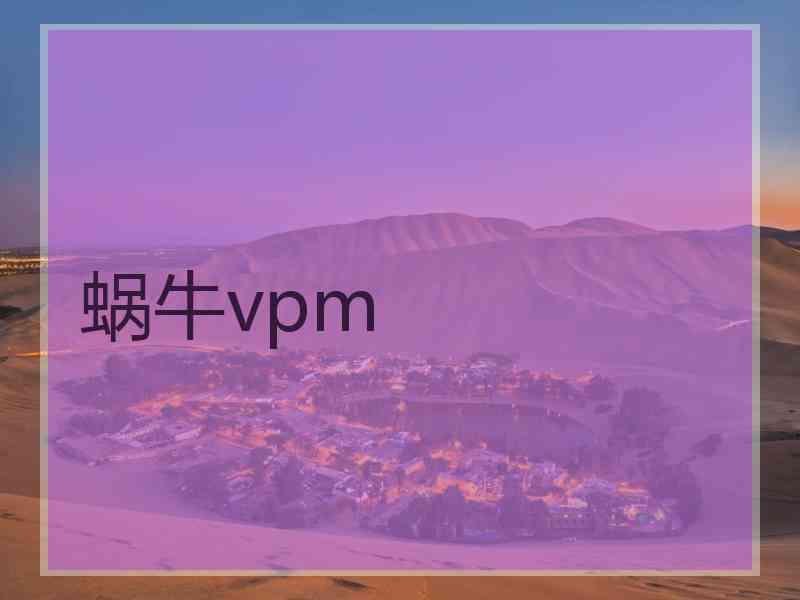 蜗牛vpm