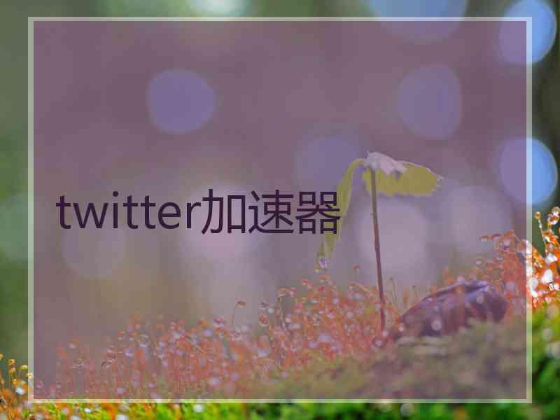 twitter加速器