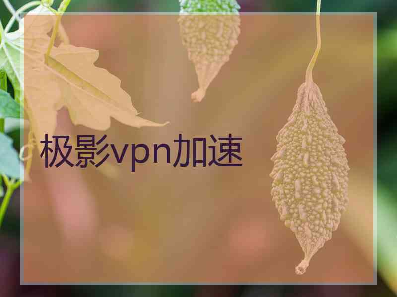 极影vpn加速