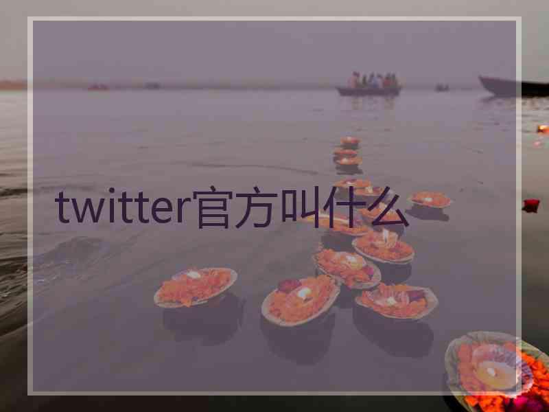 twitter官方叫什么