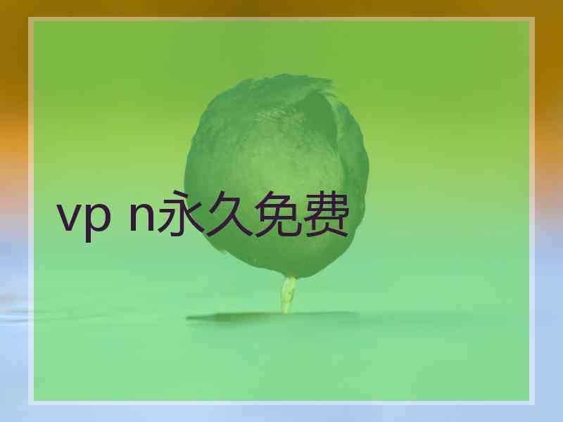 vp n永久免费