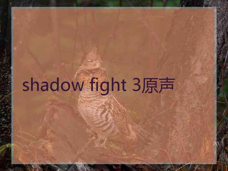 shadow fight 3原声