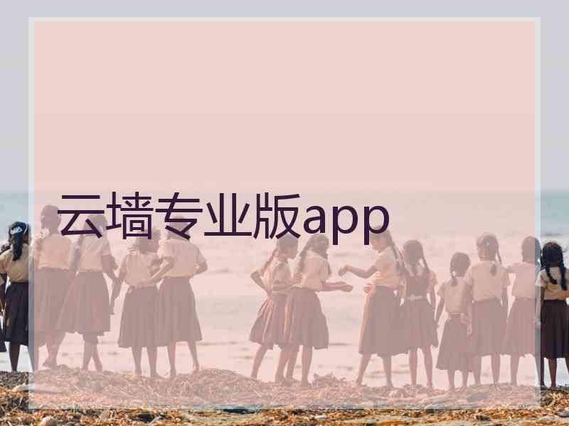 云墙专业版app