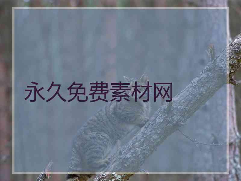 永久免费素材网