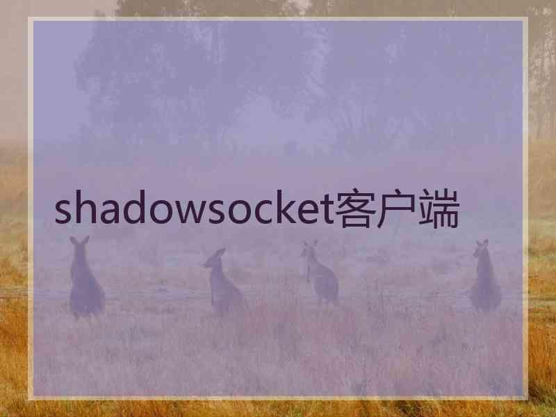 shadowsocket客户端