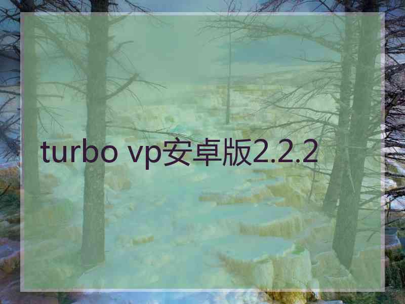 turbo vp安卓版2.2.2