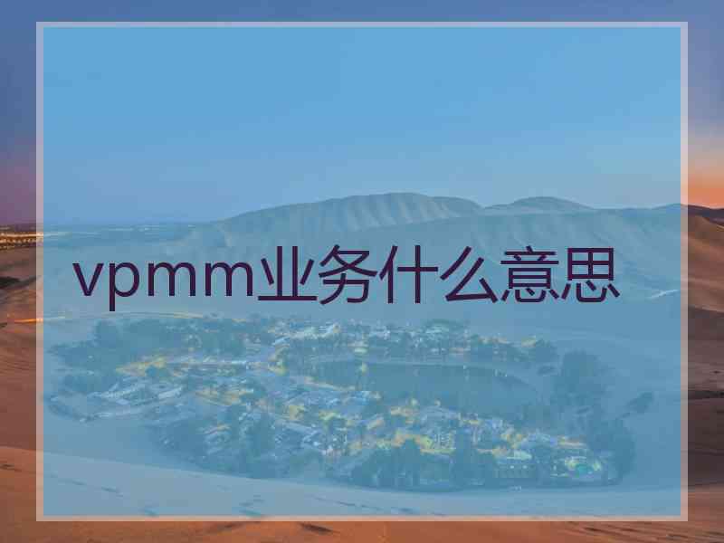 vpmm业务什么意思