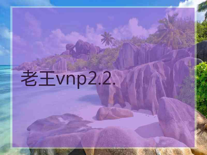 老王vnp2.2.